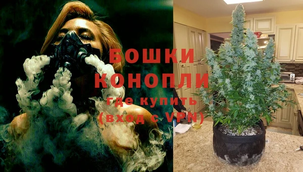 твердый Аркадак
