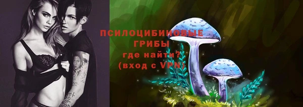 дурь Балахна