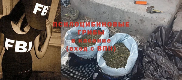 дурь Балахна