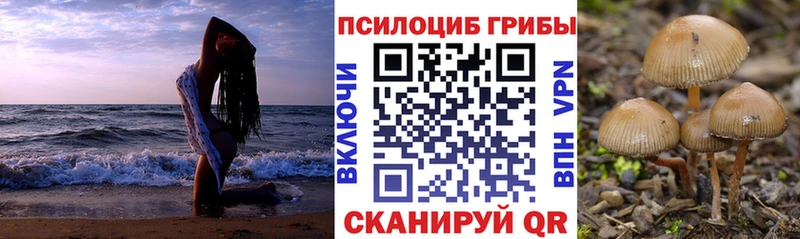 где найти наркотики  Чудово  Псилоцибиновые грибы прущие грибы 